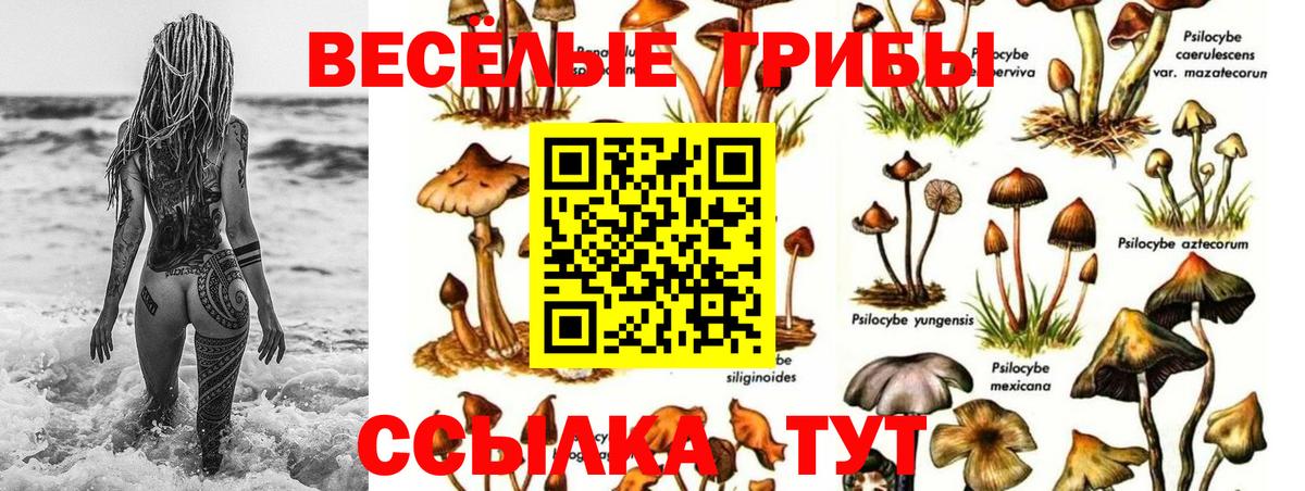 Псилоцибиновые грибы прущие грибы  Вход с VPN  где продают наркотики  Воткинск 